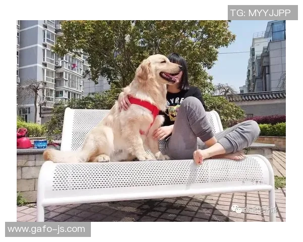 哪个足球明星与金毛犬的温馨生活让人羡慕不已 哪个足球明星与金毛犬的温馨生活让人羡慕不已