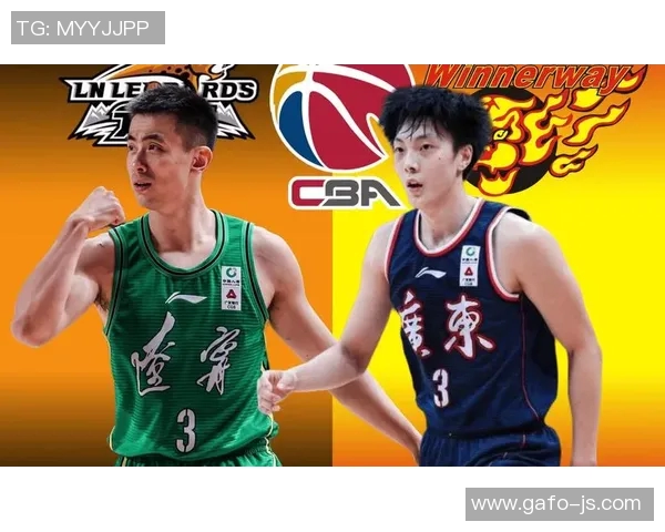 2013年CBA赛季辽宁队与北京队精彩对决回顾与分析