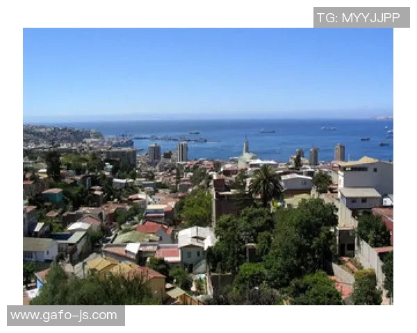 2019年巴西与秘鲁精彩对决回顾及赛后分析全景展示 2019年巴西与秘鲁精彩对决回顾及赛后分析全景展示