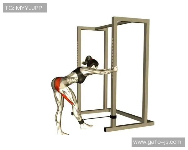 女子哑铃健身动作全解析助你塑造完美身材与提升力量的全面指南